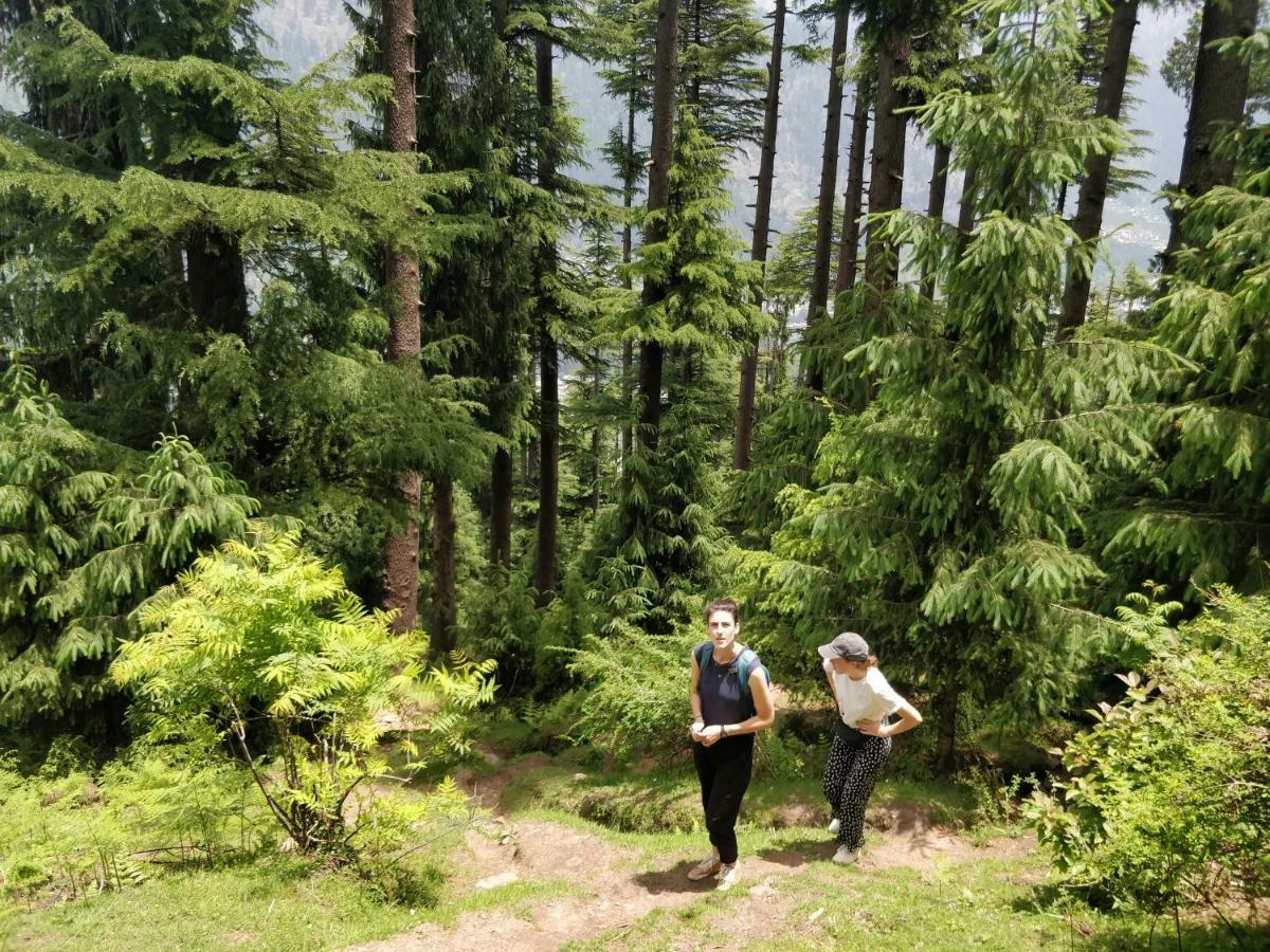 Madpackers Manali Hostel Εξωτερικό φωτογραφία